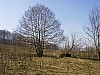 11-10_03.04.2004.jpg