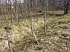11-4_03.04.2004.jpg