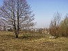 11-8_03.04.2004.jpg