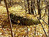 16_03_31.10.2006.jpg