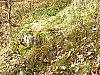 19_02_31.10.2006.jpg