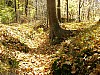 21_07_31.10.2006.jpg