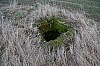 02_12_05.02.2011.jpg