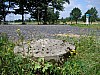 25_07_14.07.2007.jpg