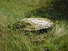 30_05_14.07.2007.jpg