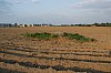46_10_02.05.2009.jpg