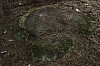 09-5_17.04.2010.jpg