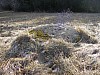27-1_16.01.2007.jpg