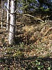 33-2_16.01.2007.jpg