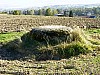 81_06_18.10.2006.jpg