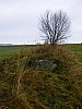92_04_08.11.2006.jpg