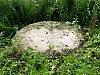 05-1_15.08.2006.jpg