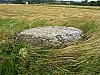 11-4_15.08.2006.jpg
