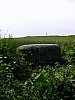 10-4_08.06.2006.jpg