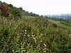 10-6_21.09.2006.jpg