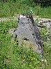 zebysmoka_lesna_2014_2.jpg