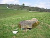 17-4_27.04.2007.jpg
