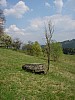 25-1_27.04.2007.jpg