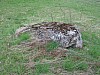 29-3_27.04.2007.jpg