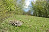 03-05_08.05.2010.jpg