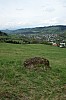 05-05_08.05.2010.jpg