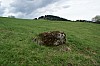 05-13_08.05.2010.jpg