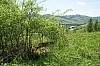 16-01_28-05-2010.jpg