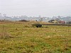 15-13_23.11.2006.jpg